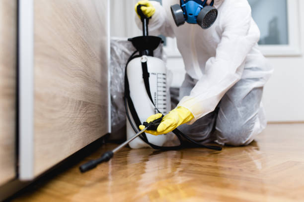 Wasp Removal Services in Crewe, VA