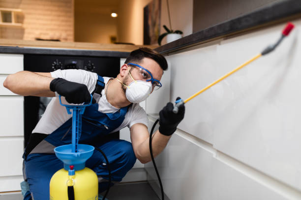 Best Affordable Pest Control Services  in Crewe, VA