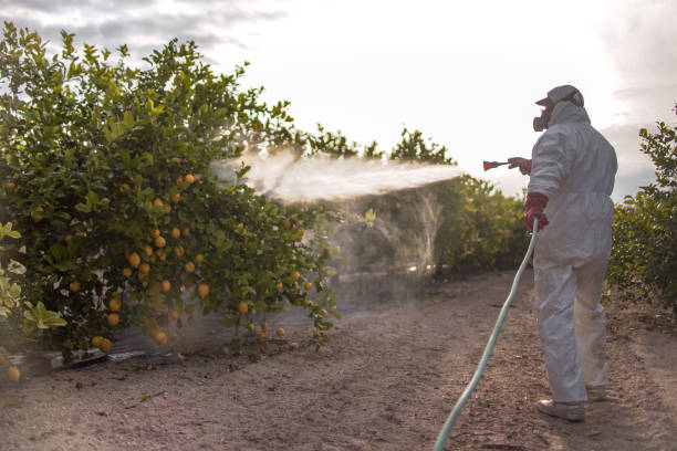 Best Mosquito Control Services  in Crewe, VA
