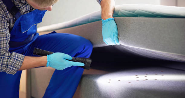Best Emergency Pest Control  in Crewe, VA