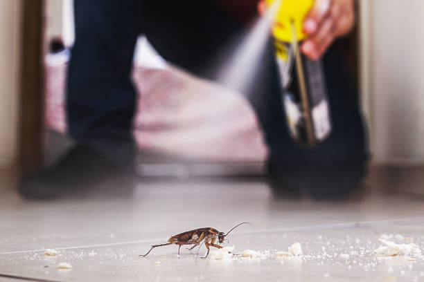 Best Flea Control Services  in Crewe, VA
